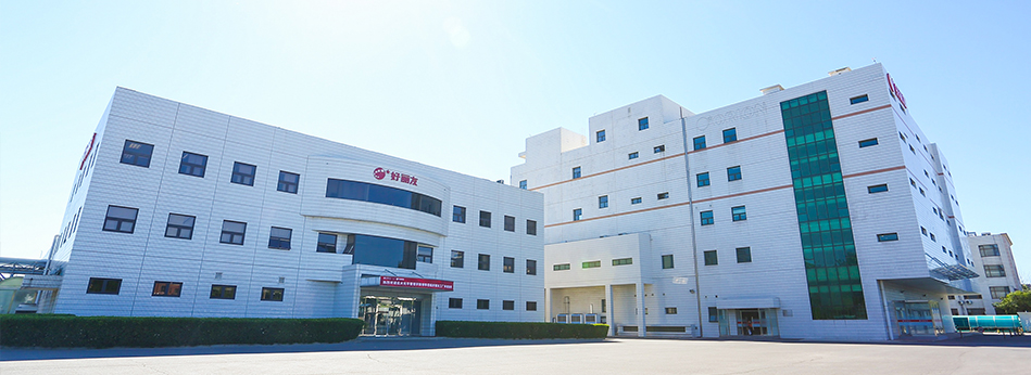 3118云顶集团·(中国)股份有限公司