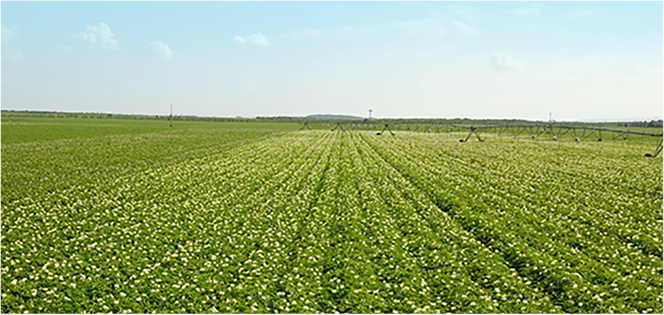 3118云顶集团·(中国)股份有限公司